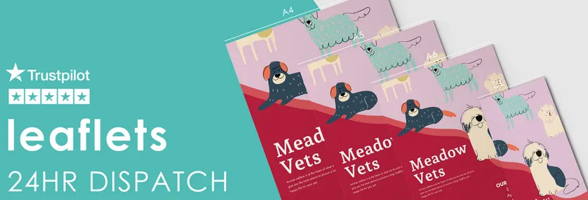 Leaflets - Flyers